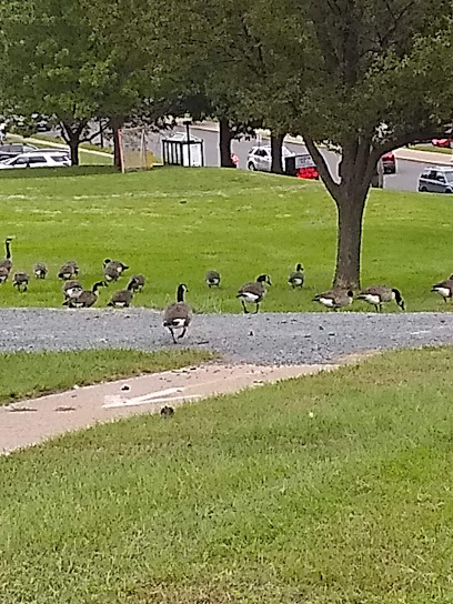 Arbor Hill Elementary School