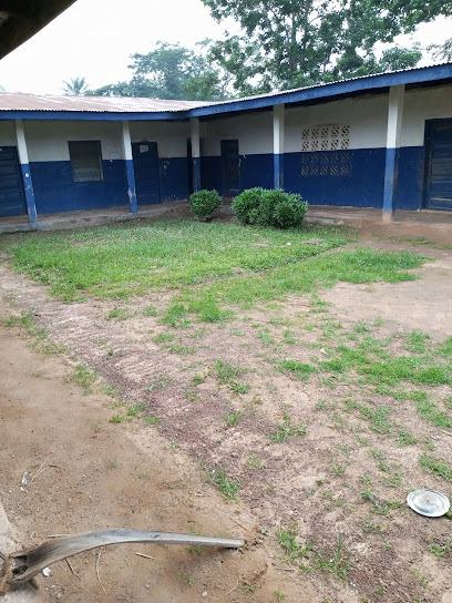 Blontuo public schools